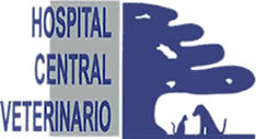 Hocevet Hospital Central Veterinario de Queretaro
