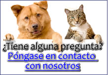 Contactanos